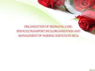 ORGANIZATION OF NEONATAL CARE,
SERVICES,TRANSPORT,NICU,ORGANIZATION AND
MANAGEMENTOF NURSING SERVICESIN NICU
 