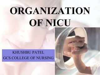 ORGANIZATION
OF NICU
KHUSHBU PATEL
GCS COLLEGE OF NURSING
 