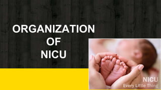 ORGANIZATION
OF
NICU
 