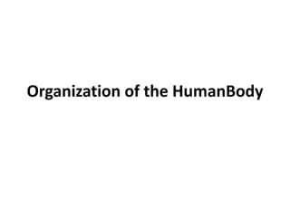 Organization of the HumanBody
 