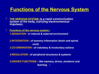 organization of the Nervous System lecture 1..pptx