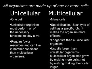 Uni Multi
All organisms are made up of one or more cells.
•One cell •Many cells
•Unicellular organism
must perform all of
the necessary
functions to stay alive.
•Require fewer
resources and can live
in harsher conditions
than multicellular
organisms.
•Specialization. Each type of
cell has a specific job. It
makes the organism more
efficient.
•Longer life than a unicellular
organism
•Usually larger than
unicellular organisms.
Multicellular organisms grow
by making more cells, not
by making making their cells
larger.
cellular cellular
 