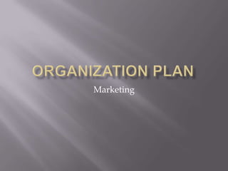 Organization Plan Marketing 