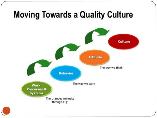 Organization Quality Culture Development by STAC