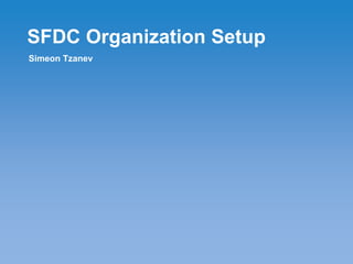 SFDC Organization Setup
Simeon Tzanev
 