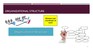 ORGANIZATIONAL STRUCTURE
18
Division and
coordinate of
work
 