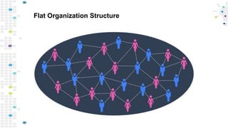 Flat Organization Structure
 