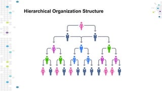 Hierarchical Organization Structure
 