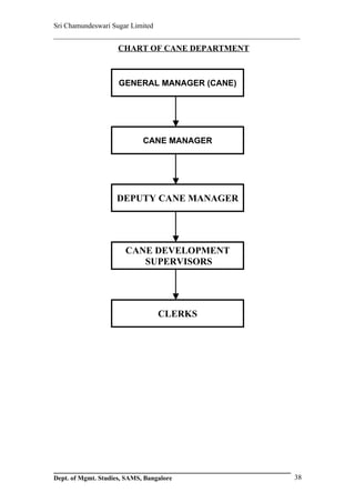 Sri Chamundeswari Sugar Limited
___________________________________________________________
                     CHART OF CANE DEPARTMENT



                     GENERAL MANAGER (CANE)




                             CANE MANAGER




                    DEPUTY CANE MANAGER




                       CANE DEVELOPMENT
                          SUPERVISORS




                                  CLERKS




Dept. of Mgmt. Studies, SAMS, Bangalore                  38
 