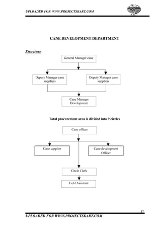 UPLOADED FOR WWW.PROJECTSKART.COM
CANE DEVELOPMENT DEPARTMENT
Structure
General Manager cane
Deputy Manager cane
suppliers
Deputy Manager cane
suppliers
Cane Manager
Development
Total procurement area is divided into 9 circles
Cane officer
Cane supplier Cane development
Officer
Circle Clerk
Field Assistant
37
UPLOADED FOR WWW.PROJECTSKART.COM
 