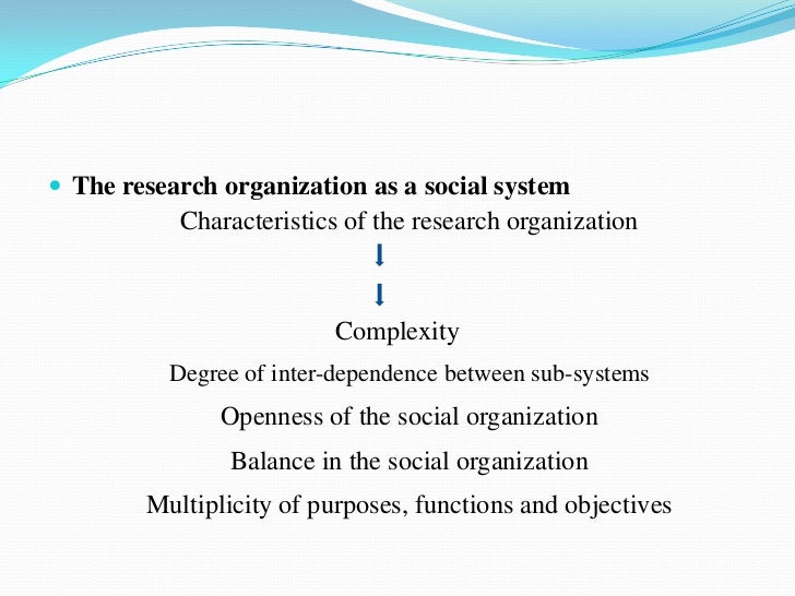 social organization examples