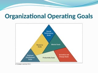 Operations Goals Structure Examples Organization theory Chapter strategic alternatives and organizational ...