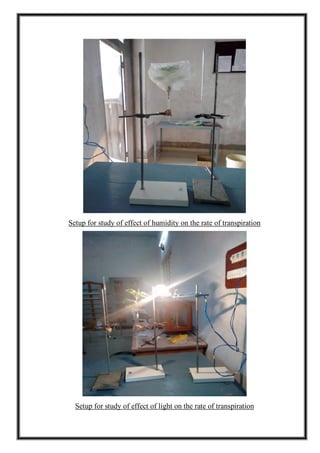 Setup for study of effect of humidity on the rate of transpiration
Setup for study of effect of light on the rate of transpiration
 