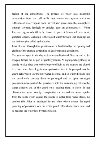 region of the atmosphere. The process of water loss involving
evaporation from the cell walls into intercellular spaces and then
diffusion of water vapour from intercellular spaces into the atmosphere
through stomata, lenticels or cuticles goes on continuously. When
Pressure begins to build in the leaves, to prevent downward movement,
guttation occurs. Guttation is the loss if water through leaf openings on
the leaf margins called hydrathodes.
Loss of water through transpiration can be facilitated by the opening and
closing of the stomata depending on environmental conditions.
The stomata open in the day to let carbon dioxide diffuse in, and to let
oxygen diffuse out as part of photosynthesis. At night photosynthesis is
unable to take place due to the absence of light so the stomata are closed
to reduce water loss. Light causes potassium ions to be pumped into the
guard cells which lowers their water potential and so water diffuses into
the guard cells causing them to go turgid and so open. At night
potassium moves out of the guard cells into the surrounding cells so the
water diffuses out of the guard cells causing them to close. In hot
climates the water loss by transpiration can exceed the water uptake
from the roots which causes the plants to suffer from water stress. To
combat this ABA is produced by the plant which causes the rapid
pumping of potassium ions out of the guard cells which closes them and
so reduces the water loss by transpiration.
 