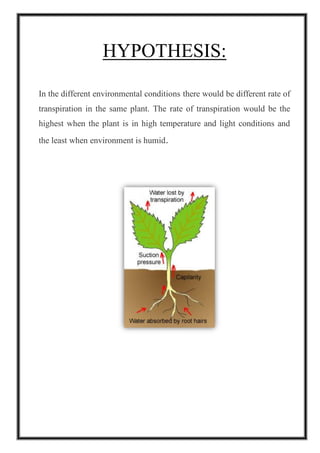 HYPOTHESIS:
In the different environmental conditions there would be different rate of
transpiration in the same plant. The rate of transpiration would be the
highest when the plant is in high temperature and light conditions and
the least when environment is humid.
 