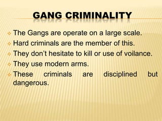GANG CRIMINALITY
The Gangs are operate on a large scale.
 Hard criminals are the member of this.
 They don’t hesitate to kill or use of voilance.
 They use modern arms.
 These
criminals are disciplined but
dangerous.


 