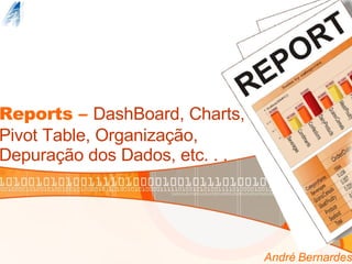 Reports –  DashBoard, Charts, Pivot Table, Organização, Depuração dos Dados, etc. . . André Bernardes 