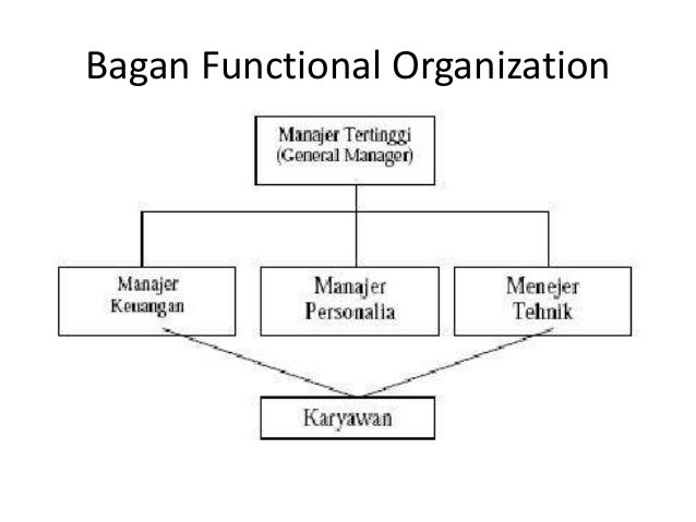 Organisasi dalam Manajemen (Organizing)