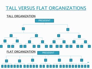 TALL ORGANIZATION 
FLAT ORGANIZATION 
PRESIDENT 
PRESIDENT 
 