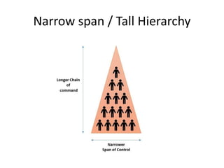 Narrow span / Tall Hierarchy
 