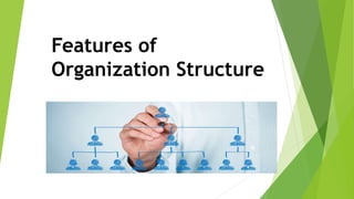 Features of
Organization Structure
 