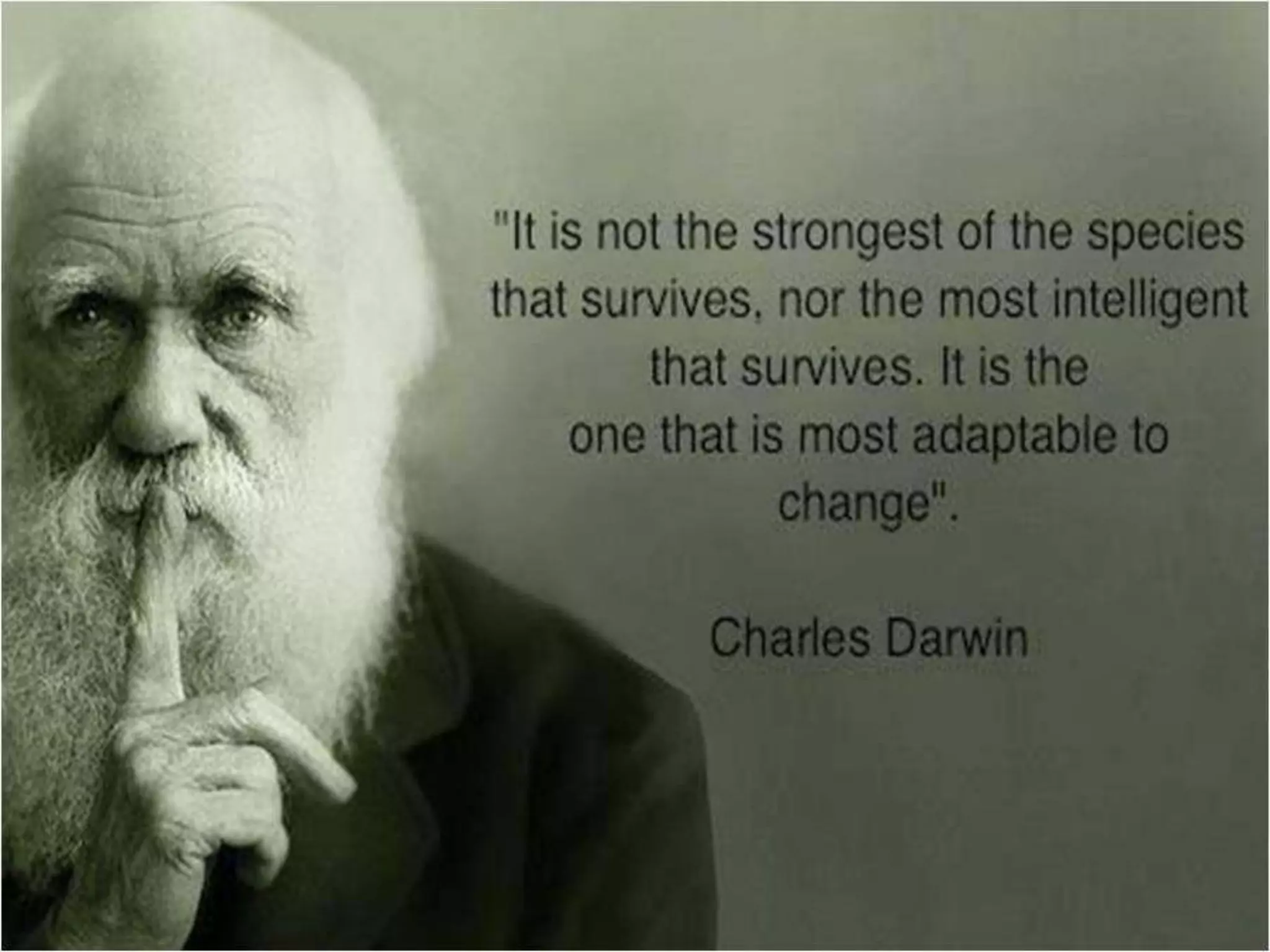 Organizing and controlling