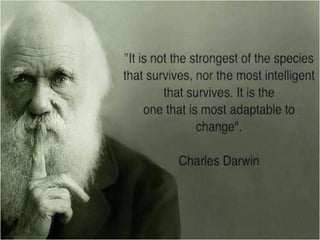 Organizing and controlling