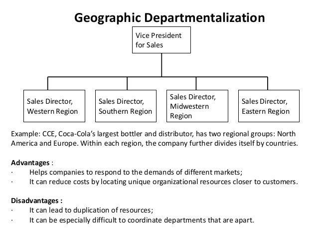 Organizing As A Function Of Management