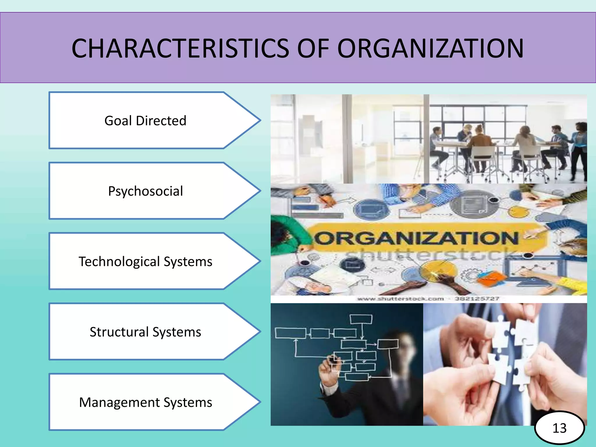 CHARACTERISTICS OF ORGANIZATION
Goal Directed
Management Systems
Structural Systems
Psychosocial
Technological Systems
13
 