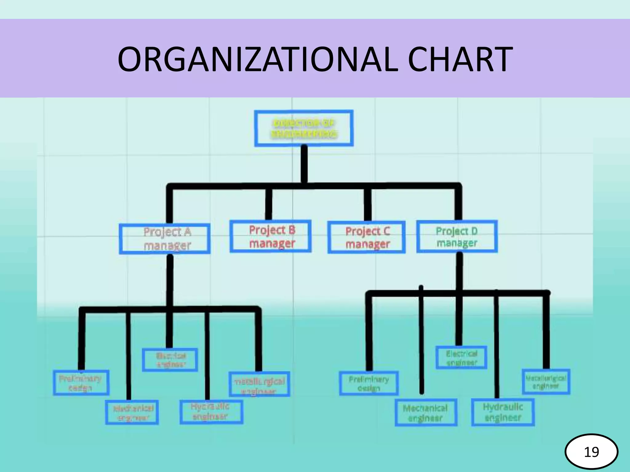 ORGANIZATIONAL CHART
19
 