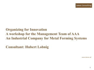 1
Organizing for Innovation
A workshop for the Management Team of AAA
An Industrial Company for Metal Forming Systems
Consultant: Hubert Lobnig
www.lemon.at
 
