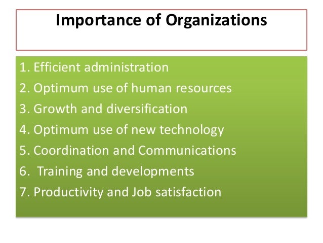 Organizing function of management