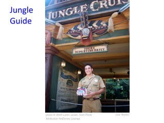 Jungle Guide