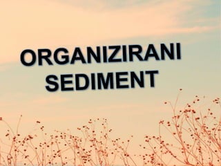 Organizirani sediment