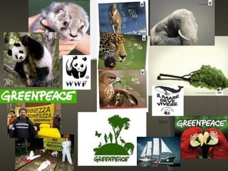 Organizzazioni internazionali