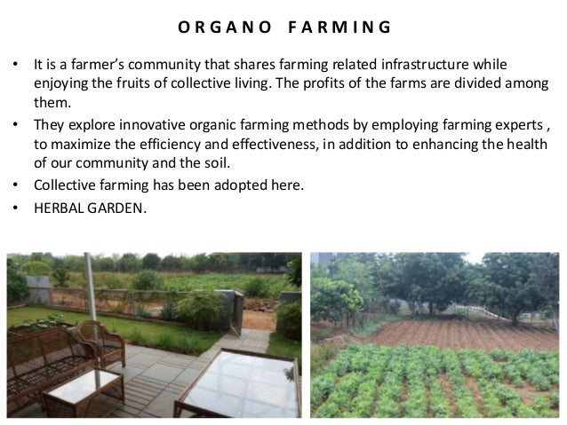 Community farming near hyderabad image