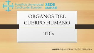 ORGANOS DEL
CUERPO HUMANO
NOMBRE: JHONDER CEDEÑO ESPINOZA
TICs
 