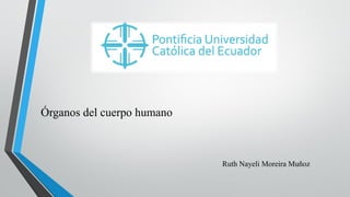 Ruth Nayeli Moreira Muñoz
Órganos del cuerpo humano
 