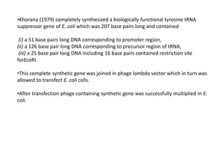 •Khorana (1979) completely synthesized a biologically functional tyrosine tRNA
suppressor gene of E. coli which was 207 base pairs long and contained
(i) a 51 base pairs long DNA corresponding to promoter region,
(ii) a 126 base pair long DNA corresponding to precursor region of tRNA,
(iii) a 25 base pair long DNA including 16 base pairs contained restriction site
forEcoRI.
•This complete synthetic gene was joined in phage lambda vector which in turn was
allowed to transfect E. coli cells.
•After transfection phage containing synthetic gene was successfully multiplied in E.
coli.
 
