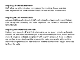 Preparing DNA for Southern Blots
DNA is first cut with restriction enzymes and the resulting double-stranded
DNA fragments have an extended rod conformation without pretreatment.
Preparing RNA for Northern Blots
Although RNA is single-stranded, RNA molecules often have small regions that can
form base-paired secondary structures. To prevent this, the RNA is pretreated with
formaldehyde.
Preparing Proteins for Western Blots
Proteins have extensive 2' and 3' structures and are not always negatively charged.
Proteins are treated with the detergent SDS (sodium dodecyl sulfate), which removes
2' and 3' structure and coats the protein with negative charges. If these conditions
are satisfied, the molecules will be separated by molecular weight, with the high-
molecular-weight molecules near the wells and the lowmolecular- weight molecules
far from the wells.
 