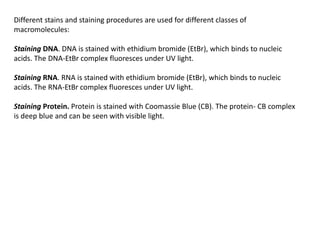 Different stains and staining procedures are used for different classes of
macromolecules:
Staining DNA. DNA is stained with ethidium bromide (EtBr), which binds to nucleic
acids. The DNA-EtBr complex fluoresces under UV light.
Staining RNA. RNA is stained with ethidium bromide (EtBr), which binds to nucleic
acids. The RNA-EtBr complex fluoresces under UV light.
Staining Protein. Protein is stained with Coomassie Blue (CB). The protein- CB complex
is deep blue and can be seen with visible light.
 