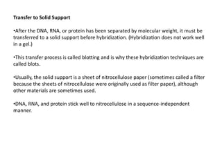 Transfer to Solid Support
•After the DNA, RNA, or protein has been separated by molecular weight, it must be
transferred to a solid support before hybridization. (Hybridization does not work well
in a gel.)
•This transfer process is called blotting and is why these hybridization techniques are
called blots.
•Usually, the solid support is a sheet of nitrocellulose paper (sometimes called a filter
because the sheets of nitrocellulose were originally used as filter paper), although
other materials are sometimes used.
•DNA, RNA, and protein stick well to nitrocellulose in a sequence-independent
manner.
 