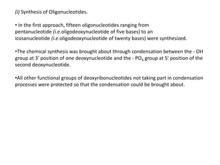 (i) Synthesis of Oligonucleotides.
• In the first approach, fifteen oligonucleotides ranging from
pentanucleotide (i.e.oligodeoxynucleotide of five bases) to an
icosanucleotide (i.e.oligodeoxynucleotide of twenty bases) were synthesized.
•The chemical synthesis was brought about through condensation between the - OH
group at 3' position of one deoxynucleotide and the - PO4 group at 5' position of the
second deoxynucleotide.
•All other functional groups of deoxyribonucleotides not taking part in condensation
processes were protected so that the condensation could be brought about.
 
