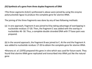 (iii) Synthesis of a gene from three duplex fragments of DNA
•The three segments (A,B,C) synthesized is above were joined by using the enzyme
polynucleotide ligase to produce the complete gene for alanine tRNA.
The joining of the three fragments was done by any of two following methods:
(a) In one approach, fragment A was joined to B by taking advantage of overlapping in
nucleotide residues 17-20. Then, the fragment C was added with the overlap in
nucleotides 46- 50. Thus, a complete double stranded DNA with 77 base pairs was
prepared.
(b) In the second approach, the fragment B was joined to C. At the end the fragment A
was added to nucleotide residues 17-20 to obtain the complete gene for alanine tRNA.
•Khorana et. al. (1970) prepared this gene in vitro which was used for future work. They
found that alanine tRNA gene replicated and transcribed into tRNA just like the natural
gene
 
