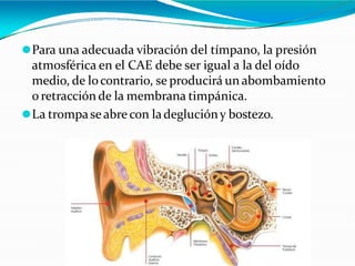⚫Para una adecuada vibración del tímpano, la presión
atmosférica en el CAE debe ser igual a la del oído
medio, de locontrario, se producirá un abombamiento
o retracción de la membrana timpánica.
⚫La trompaseabre con ladeglucióny bostezo.
 