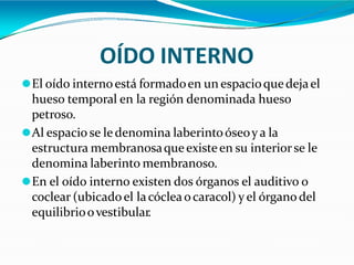 OÍDO INTERNO
⚫El oído internoestá formadoen un espacioquedejael
hueso temporal en la región denominada hueso
petroso.
⚫Al espacio se ledenomina laberintoóseoy a la
estructura membranosaqueexisteen su interiorse le
denomina laberinto membranoso.
⚫En el oído interno existen dos órganos el auditivo o
coclear (ubicadoel lacócleaocaracol) y el órganodel
equilibrioovestibular.
 
