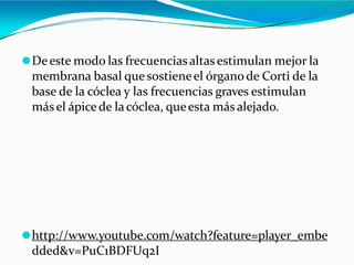 ⚫Deeste modo las frecuenciasaltasestimulan mejor la
membrana basal quesostieneel órganode Corti de la
base de la cóclea y las frecuencias graves estimulan
másel ápicede lacóclea, queesta másalejado.
⚫http://www.youtube.com/watch?feature=player_embe
dded&v=PuC1BDFUq2I
 