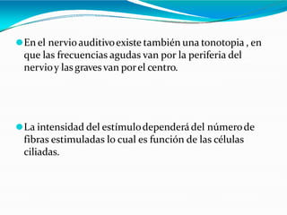 ⚫En el nervioauditivoexiste también una tonotopia , en
que las frecuencias agudas van por la periferia del
nervioy lasgravesvan porel centro.
⚫La intensidad del estímulodependerádel númerode
fibras estimuladas lo cual es función de las células
ciliadas.
 