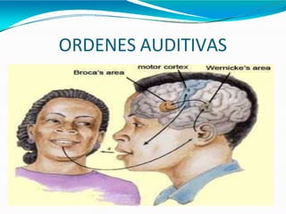 ORDENES AUDITIVAS
 