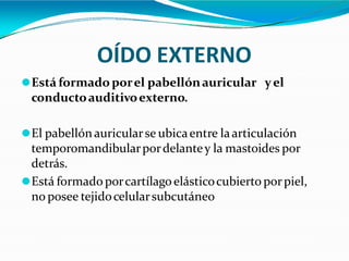 OÍDO EXTERNO
⚫Está formado porel pabellónauricular yel
conductoauditivoexterno.
⚫El pabellónauricularse ubicaentre laarticulación
temporomandibularpordelantey la mastoides por
detrás.
⚫Está formado porcartílagoelásticocubierto porpiel,
no posee tejidocelularsubcutáneo
 